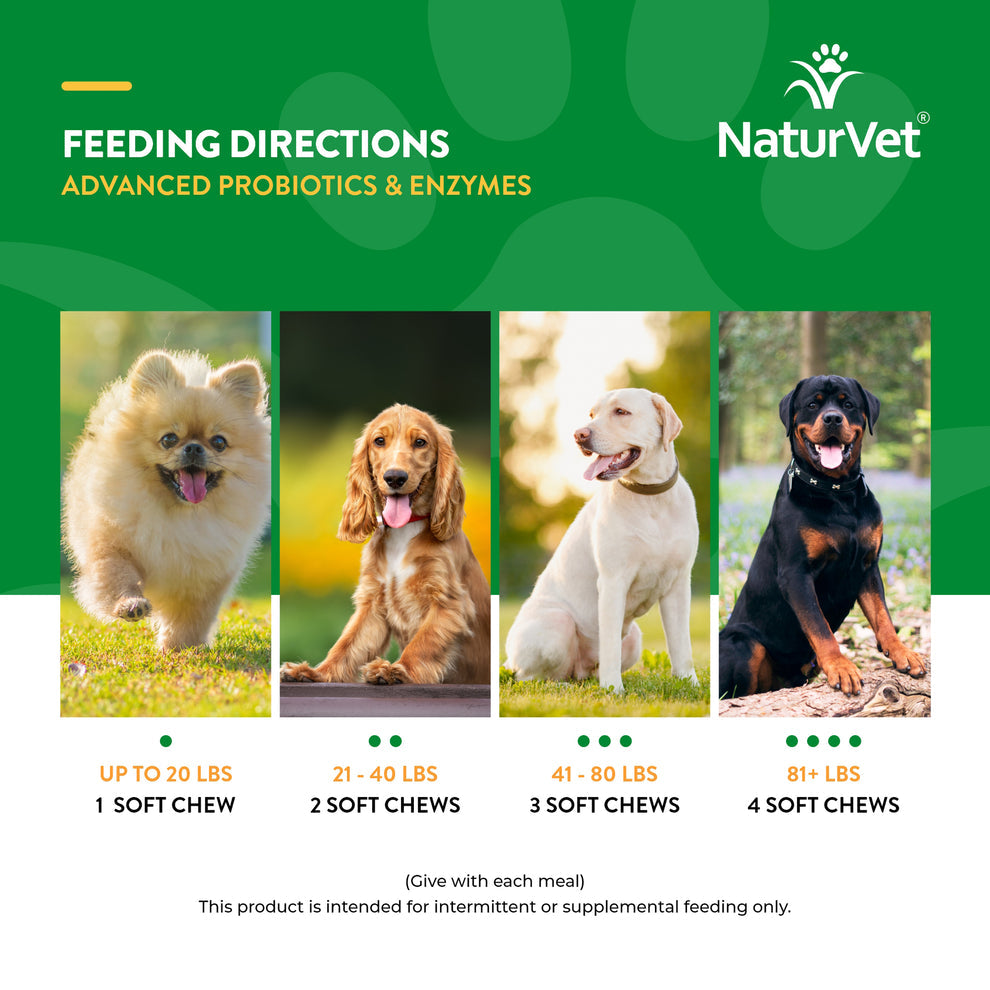 Advanced Probiotics & Enzymes (Dogs, 70 Count) | NaturVet