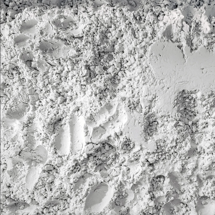 Diatomaceous Earth Guard (150g) | Blends For Life