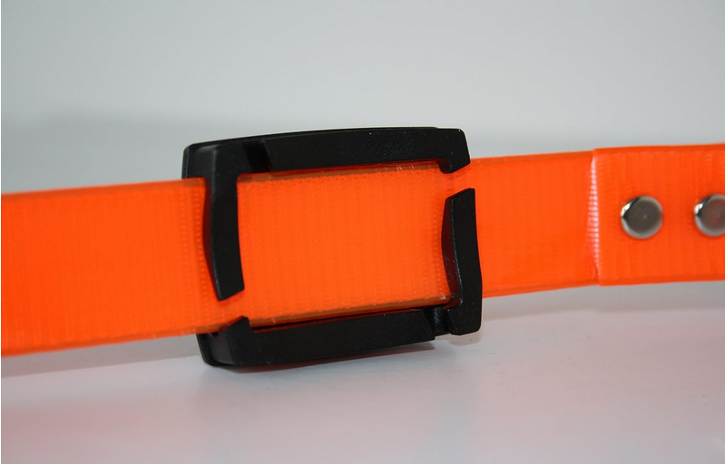 Hunting Series Collar Light (White) | Adventure Lights