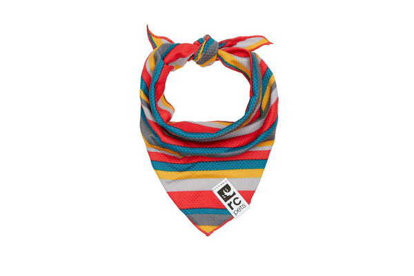 Zephyr Cooling Bandana (Multi-Stripes, Small/Med) | RC Pets