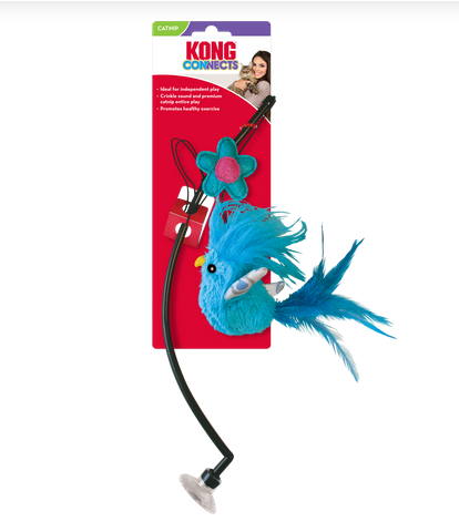 Connects Window Teaser Cat Toy (Assorted Colours) | KONG