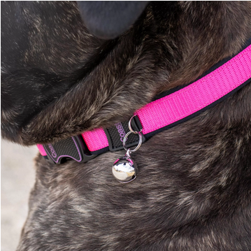Collar Bells (Silver, 3pk) | Coastal Pet Products
