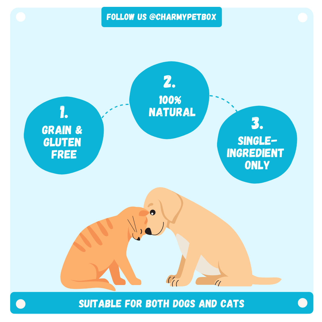 Turkey Breast Treat | Charmy