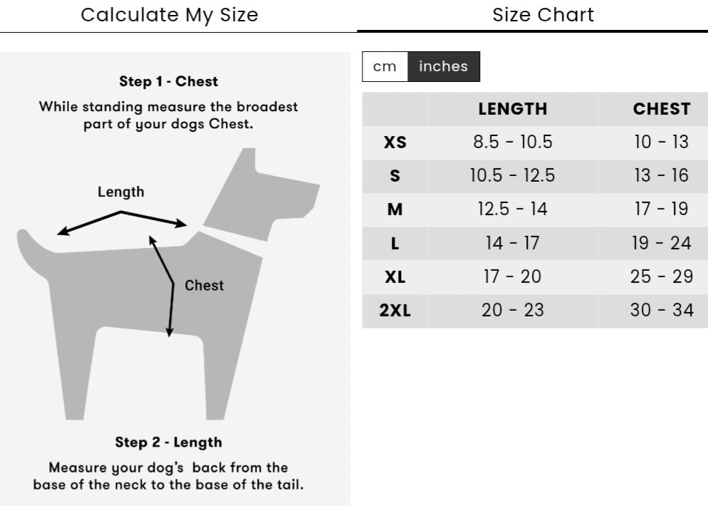 Sleepy Dog Festive Pajamas | Silver Paw