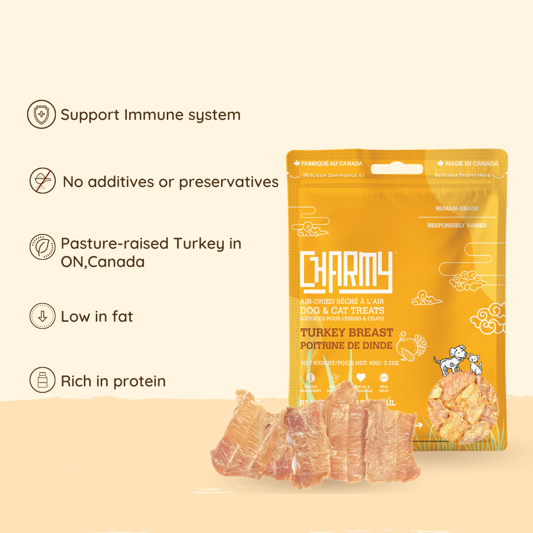 Turkey Breast Treat | Charmy