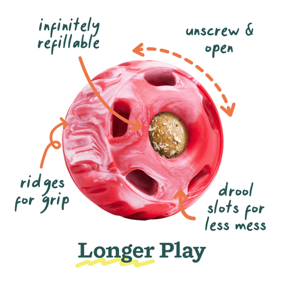 Candy Cane Pupsicle | Woof