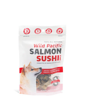 Salmon Sushi Rolls | Snack 21