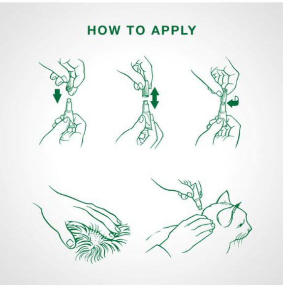 Advantage II Flea Treatment (Kittens <5lbs) | Bayer