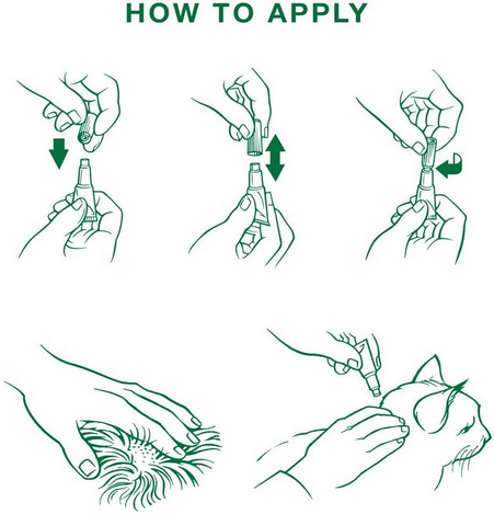 Advantage II Flea Treatment (Large Cat, >8.8lb) | Bayer