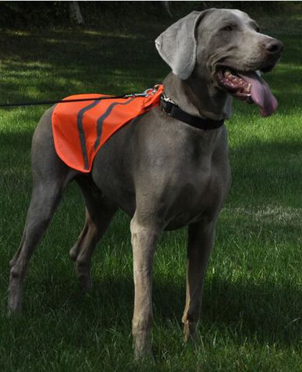 Reflective Safety Vest (Small) | Coastal Pet Products