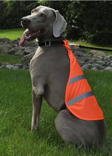 Reflective Safety Vest (Medium) | Coastal Pet Products