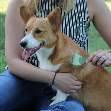 Safari Shed Magic De-Shedding Tool For Dogs (Small, Short-Medium Hair) | Costal Pet Products