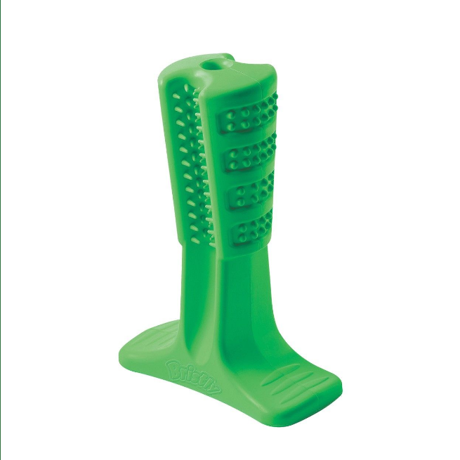 Dog toothbrush stick top