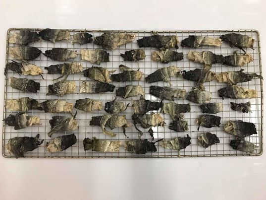 Newfoundland Whole Cod Skins | Collaskins