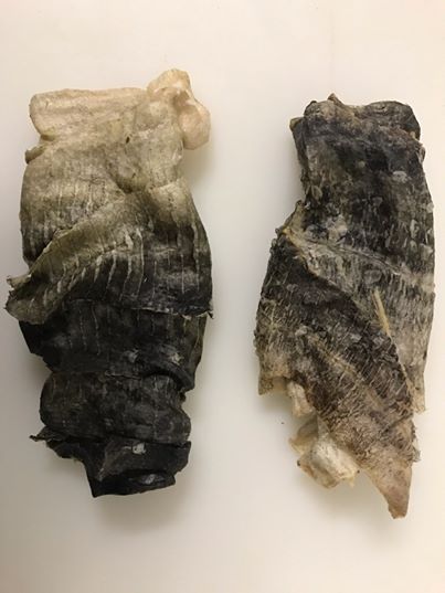 Newfoundland Whole Cod Skins | Collaskins