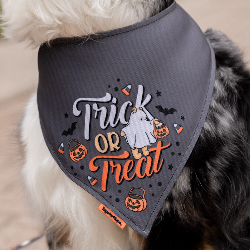 Hundred Acre Haunt Bandana (Reversible) | Tags For Hope