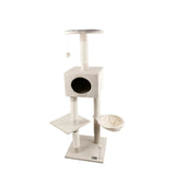 Alaska Multi-Level Cat Tree | Cloe & Cluzo