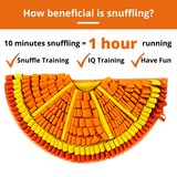 Orange Slice Snuffle Mat | PawzNDogz