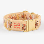 Tiger & Hunny Bear Collar | Tags For Hope