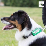 Bark Notes Collar/Leash Cover (FRIENDLY, 1") | RC Pets