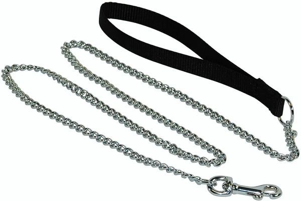 Fine Chain Leash (4') | Hamilton