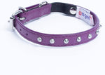 Studded Leather Cat Collar (Purple, 10") | Angel Pet Supplies