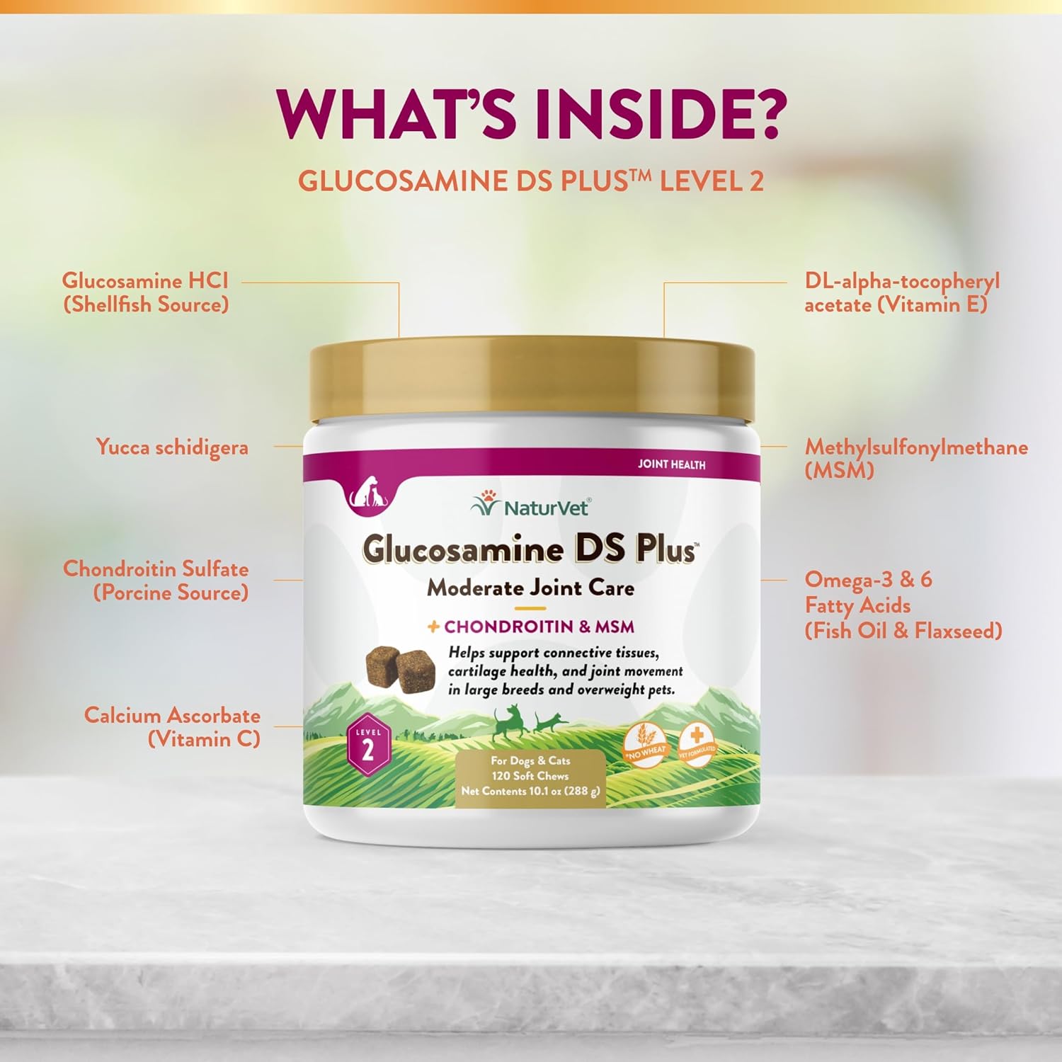 Glucosamine Level 2 (120 Count) | NaturVet