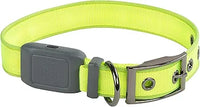 Nite Dawg Rechargable Light-Up Collar (16"-20") | Nite Ize