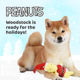 Santa Woodstock Dog Toy | Fetch For Pets