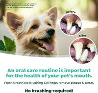 No-Brushing Dental Gel For Dogs (Unflavoured) | Tropiclean