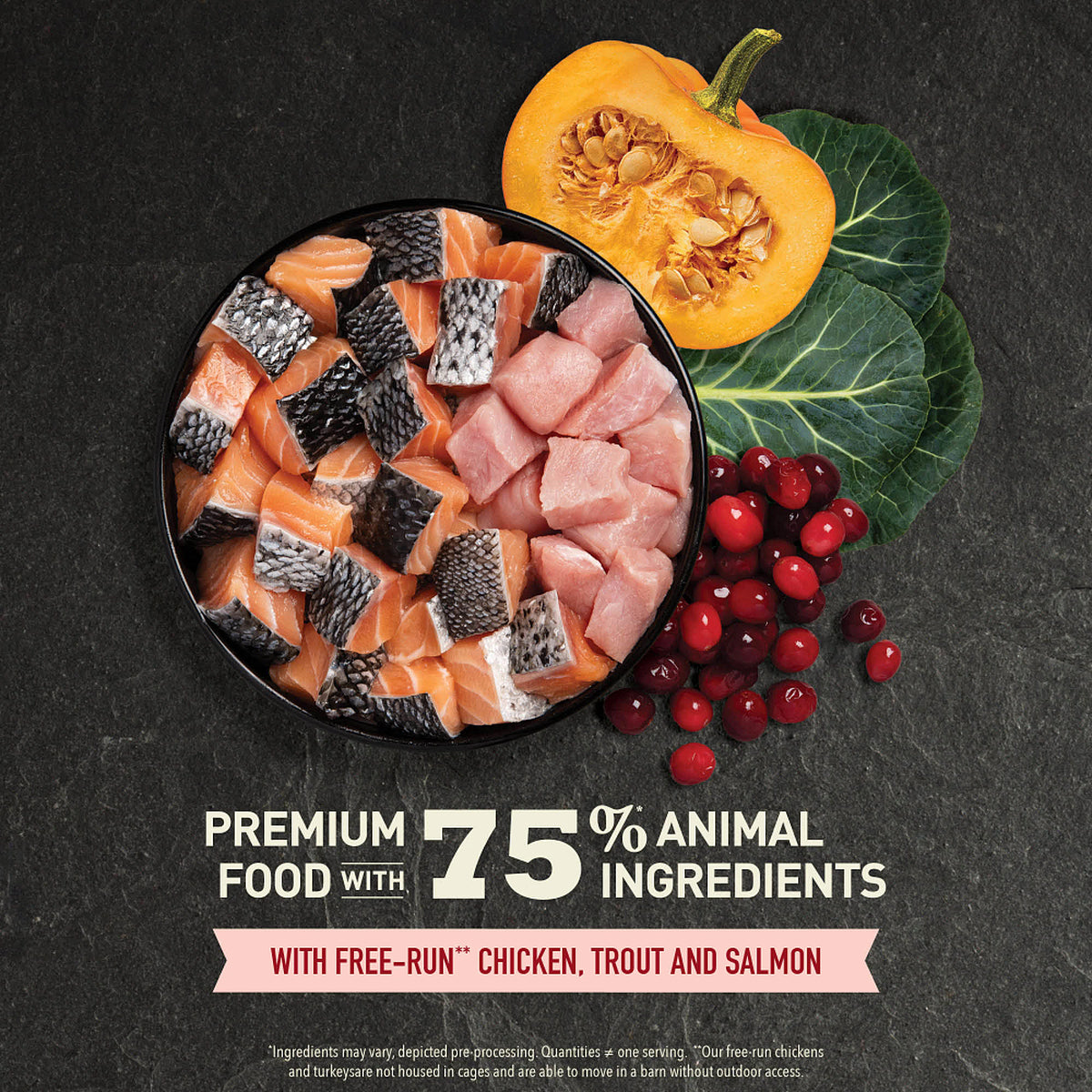 Highest Protein, Grain-Free Indoor Cat Recipe | Acana