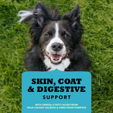 Salmon Chewy Strips (Skin, Coat, & Digestive Support) | Acana