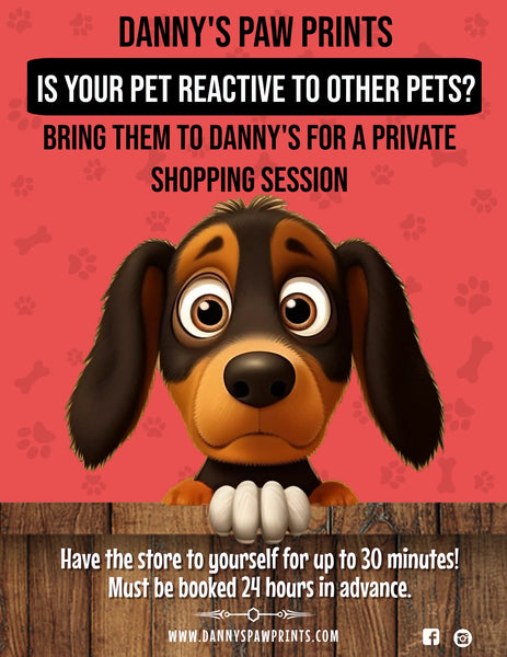 Reactive Dog Private Shop Session