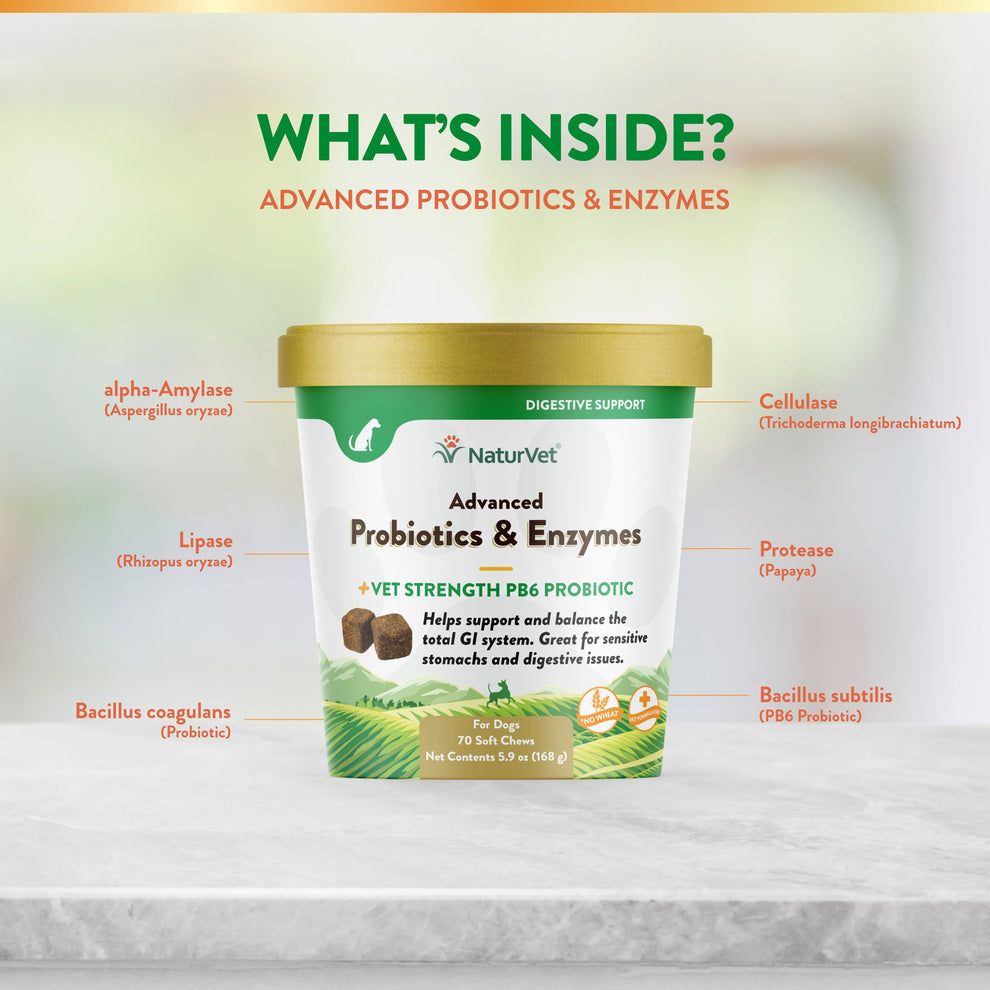Advanced Probiotics & Enzymes (Dogs, 70 Count) | NaturVet