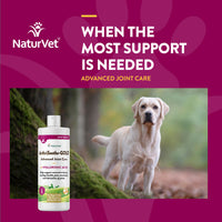 ArthriSoothe-GOLD Advanced Joint Care Liquid | NaturVet