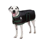 Vail Dog Coat (Black & Pine) | Shedrow K9