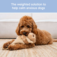 Weighted Calming Toy (Dog, L/XL) | Canada Pooch