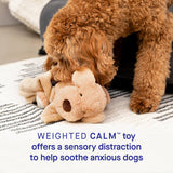 Weighted Calming Toy (Dog, L/XL) | Canada Pooch