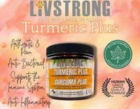 Turmeric Plus Supplement (150g) | Livstrong