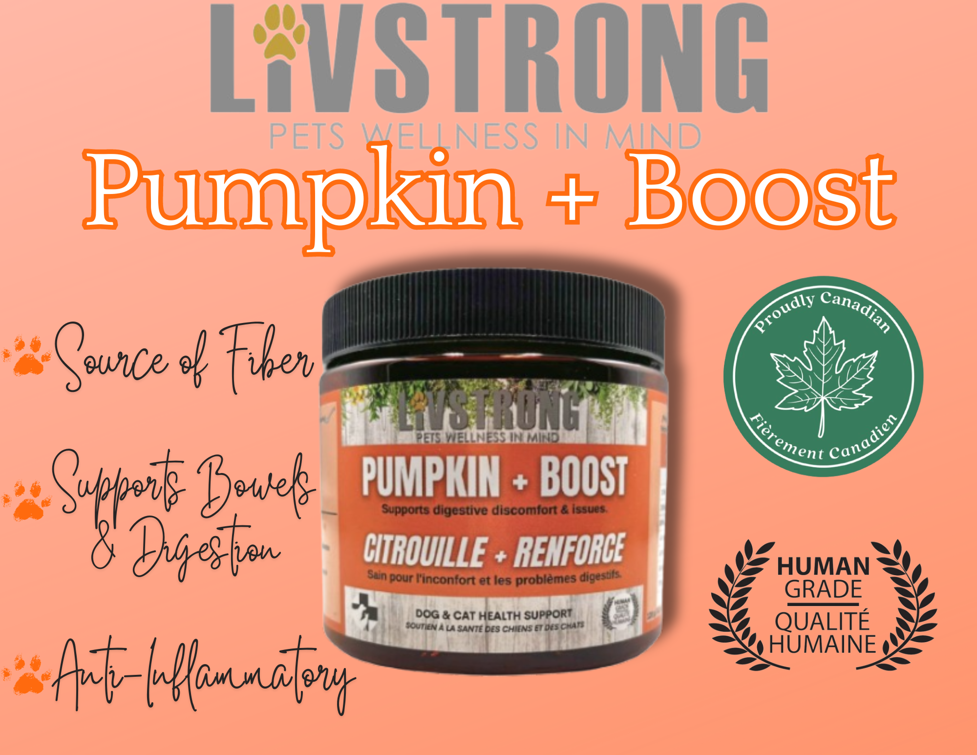 Pumpkin + Boost Supplement (120g) | Blends For Life