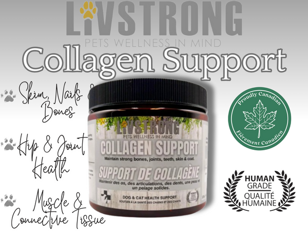 Collagen Support (125g) | Livstrong