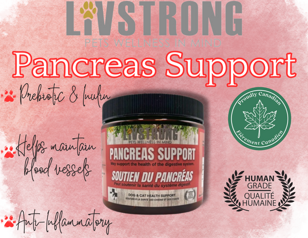 Pancreas Support (100g) | Livstrong