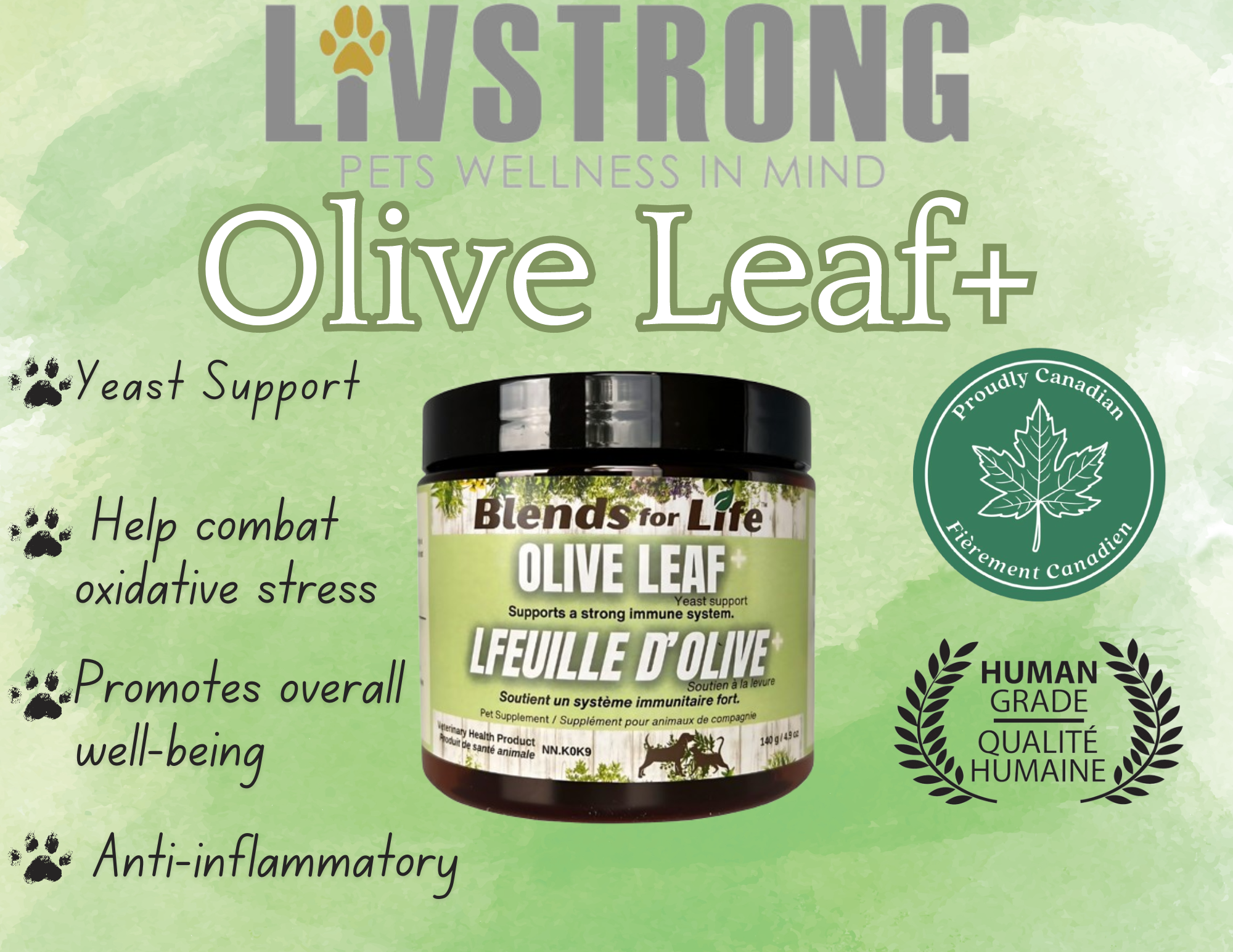 Olive Leaf+ (140g) | Blends For Life
