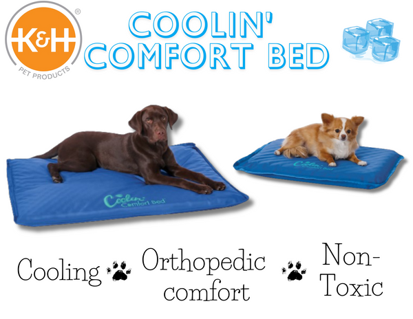 Coolin' Comfort Bed | K&H Pet Products