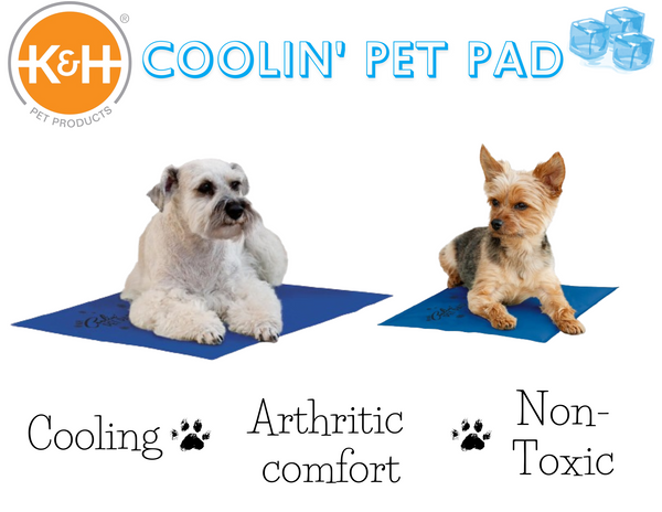 Coolin' Pet Pads | K&H Pet Products