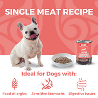 Limited Ingredient Diet Salmon Entrée (Dog Food) | KOHA