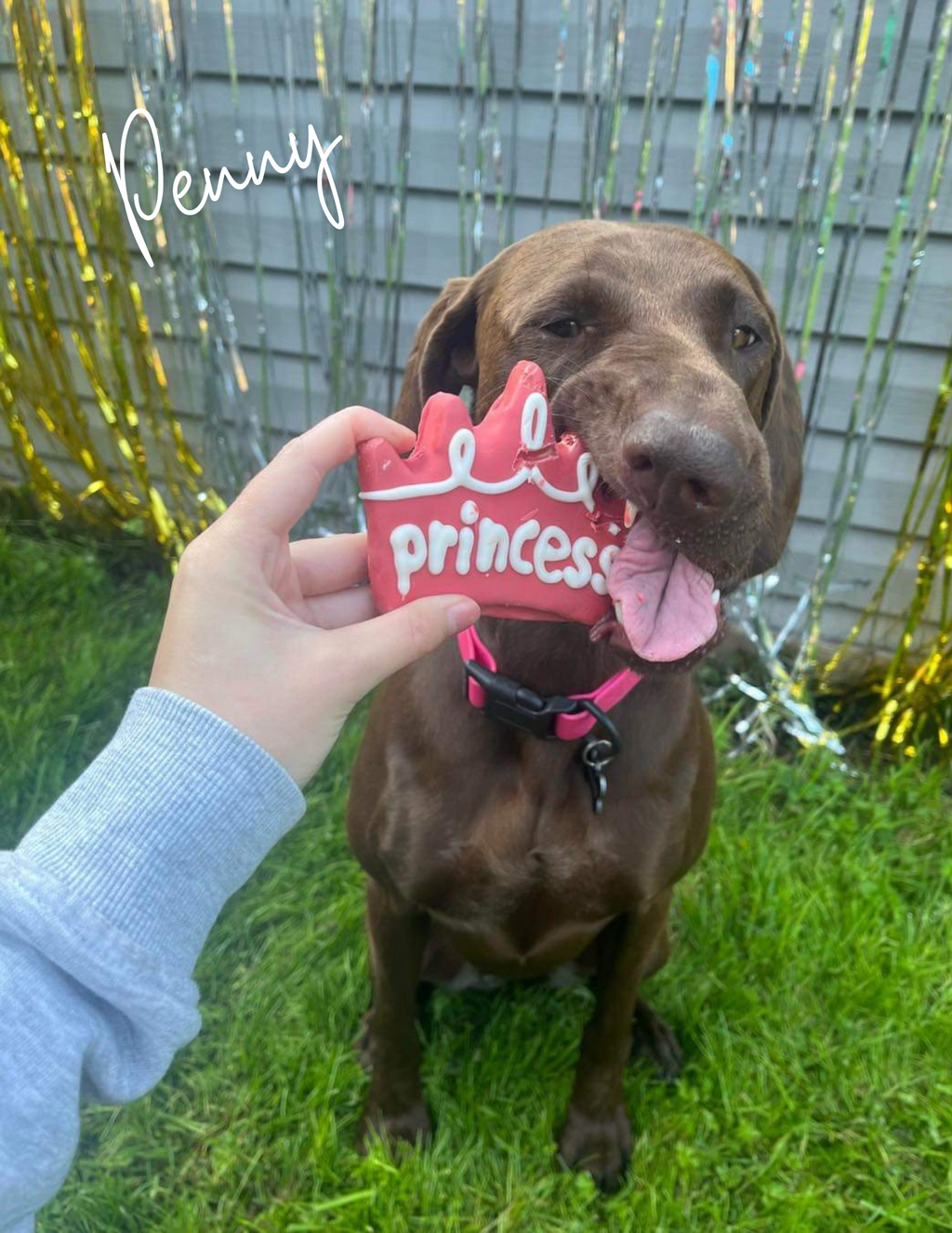 Princess Cookie | Bosco & Roxy's