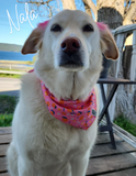 Zephyr Cooling Bandana (Zesty) | RC Pets