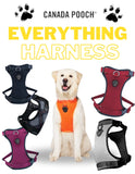 Everything Harness | Canada Pooch