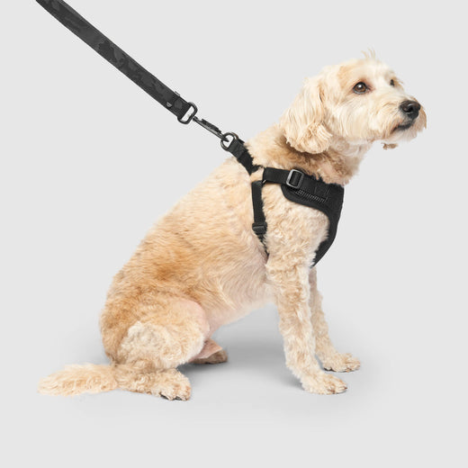 Easy-On Step-In Harness Canada Pooch